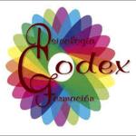 Codex Centro