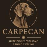 Carpecan