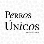 Perros Únicos