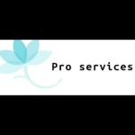 Pro Services  Lg