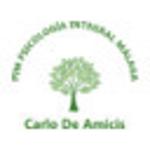 Pim Psicología Integral Málaga Carlo De Amicis Pim Psicología Integral Málaga Carlo De Amicis