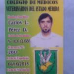 Carlos Luis