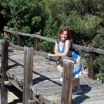 Carmen Bou Soler Carmen Bou Soler