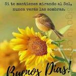 Luis Reyes Luis Reyes