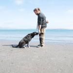 Groenehond Groenehond