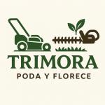 Trimora Multiservicios