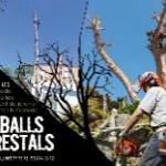 Trabajos Forestales gs Silvestre Trabajos Forestales gs Silvestre
