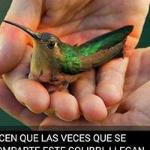 Zully Blanco Zully Blanco