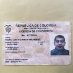 Pedro Luis Agudelo Velasquez Agudelo Velasquez Pedro Luis Agudelo Velasquez Agudelo Velasquez