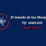 El Mundo De Las Mosquiteras El Mundo De Las Mosquiteras