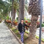 Dorina Nicoleta Rus Dorina Nicoleta Rus