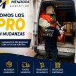 Mendozalogistic