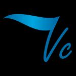 Vexillum Consulting S.l Vexillum Consulting S.l