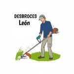 Desbroces Leon