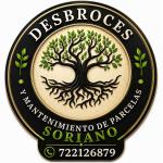 Desbroces Mantenimientos Y Poda En Altura Soriano