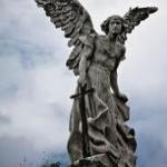 Jose Miguel N. Jose Miguel N.