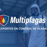 Multiplagas Multiplagas