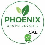 Phoenix Groupo Levante