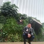 Joel Timana Maza Joel Timana Maza