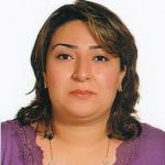Shadi Gaeini Shadi Gaeini