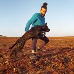 Educador Canino Pierluigi Educador Canino Pierluigi