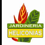 Jardineria Heliconia