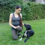 Honden Educación Canina Honden Educación Canina