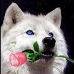 Elinor Villanueva Heinrichs Elinor Villanueva Heinrichs