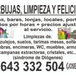 Limpiezas Para El Hogar