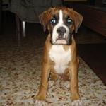 Mari Angeles Garcia de la Galana Rodriguez Barbero