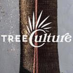 Treeculturenaltura