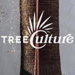 Treeculturenaltura Treeculturenaltura