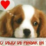Conchi Lopez Sanchez Conchi Lopez Sanchez