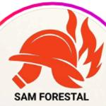 Sam Forestal Sam Forestal
