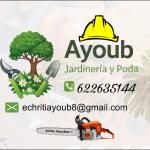 Servicios Forestal Y Jardinería