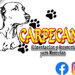Carpecan Carpecan