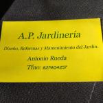 Antonio Rueda Antonio Rueda