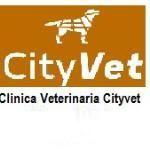 Clinica Veterinaria Cityvet