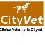 Clinica Veterinaria Cityvet Clinica Veterinaria Cityvet