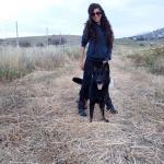 Binomio Dog Training Binomio Dog Training