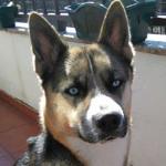 Jessica Rueda Rodriguez Jessica Rueda Rodriguez