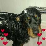 Txarly Navarro Llorente