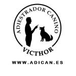 Víctor Mañero Tu Adiestrador Canino Personal Sesiones Presenciales Y Por Videollamada Víctor Mañero Tu Adiestrador Canino Personal Sesiones Presenciales Y Por Videollamada
