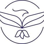 Phoenix Capital Phoenix Capital
