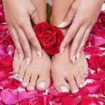 The Pink Nails The Pink Nails
