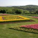 Jardineros Boadilla Jardineros Boadilla