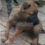 Juan Juan