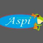 Mantenimiento Aspi