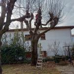 Jardineria Sytos Jardineria Sytos