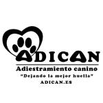 Adican  Tu Adiestrador Canino Personal A Domicilio De Confianza